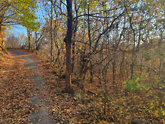 Eladó földterület Gyulakeszi
