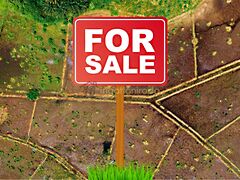 Eladó földterület Nyíregyháza, Borbánya