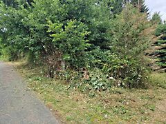 Eladó földterület Kustánszeg