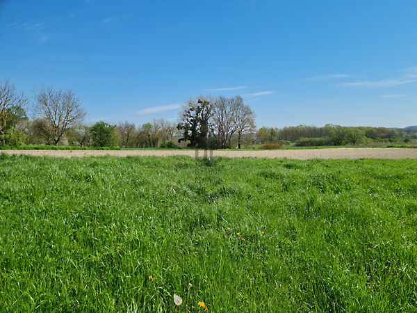 Eladó földterület Zalaapáti