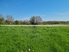 Eladó földterület Zalaapáti