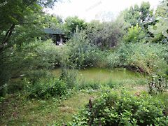 Eladó földterület Kecel