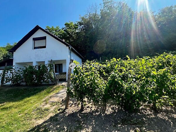 Eladó nyaraló Kölesd