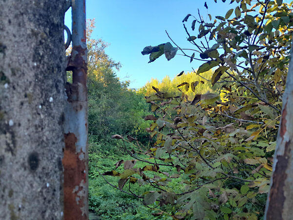 Eladó földterület Sobor