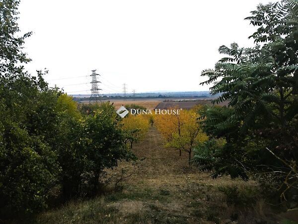 Eladó földterület Tordas