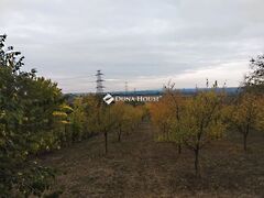 Eladó földterület Tordas