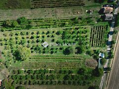 Eladó földterület Tordas