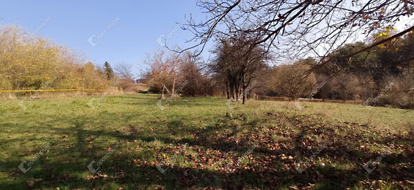 Eladó földterület Zalaegerszeg