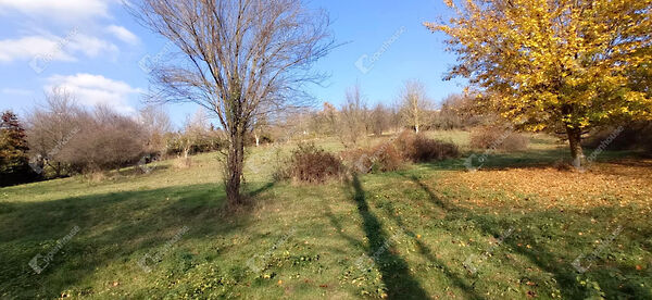 Eladó földterület Zalaegerszeg