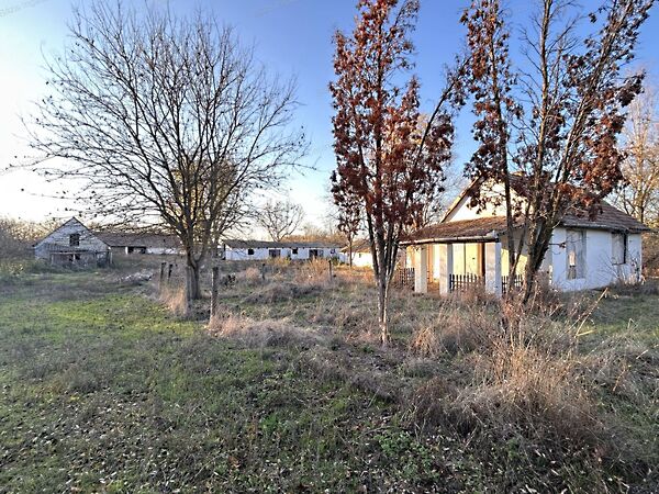 Eladó ház Sükösd