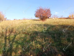 Eladó földterület Zalaegerszeg