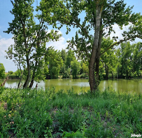 Eladó földterület Mezőtúr