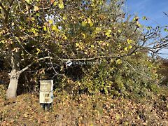 Eladó földterület Bicske