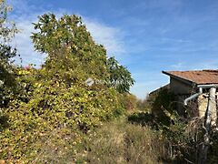 Eladó földterület Bicske