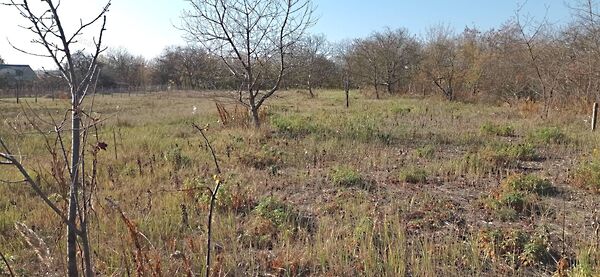 Eladó földterület Gödöllő, Kecskés