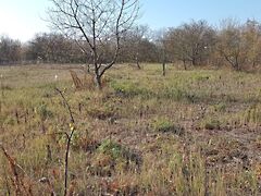 Eladó földterület Gödöllő, Kecskés