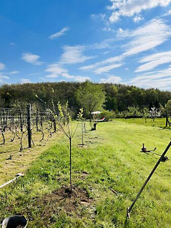 Eladó földterület Várgesztes