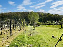 Eladó földterület Várgesztes