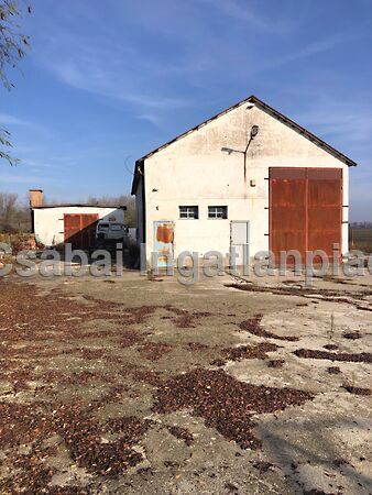 Eladó ipari Újkígyós