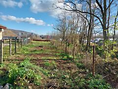 Eladó földterület Tatabánya