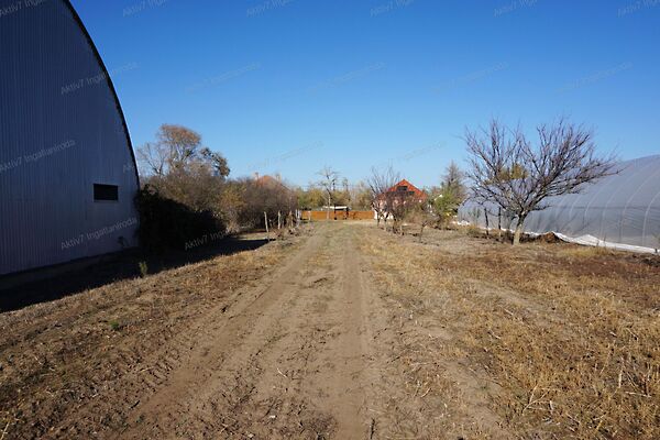 Eladó földterület Tiszasziget