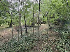 Eladó földterület Balatonederics