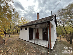 Eladó ház Csongrád