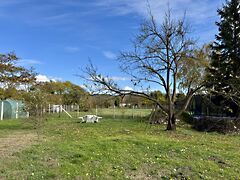 Eladó földterület Zalacsány