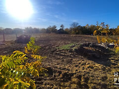 Eladó földterület Kiszombor