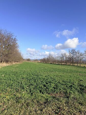 Kiadó földterület Tata