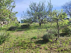 Eladó földterület Mogyoród