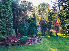 Kiadó ház Debrecen, Liget lakópark
