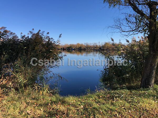 Eladó nyaraló Békés, Borosgyán