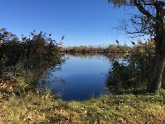 Eladó nyaraló Békés, Borosgyán