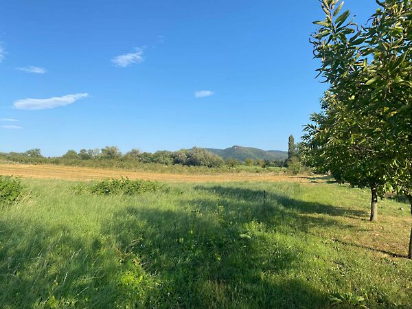 Eladó földterület Vindornyalak