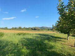 Eladó földterület Vindornyalak