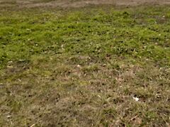 Eladó földterület Siófok