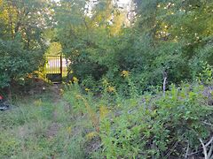 Eladó földterület Budakeszi, Budakeszi-Makkosmária