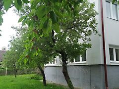 Eladó ház Balatonalmádi