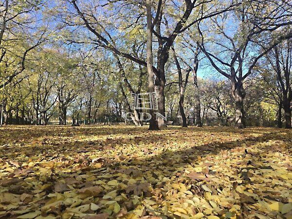 Eladó lakás Budapest, XIV. kerület