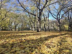 Eladó lakás Budapest, XIV. kerület