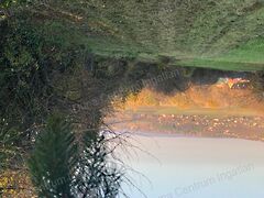 Eladó földterület Hévíz