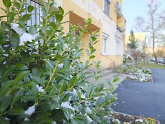 Kiadó lakás Zalaegerszeg