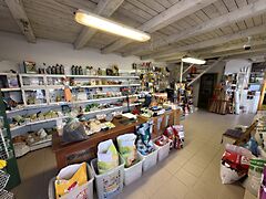 Eladó üzleti Kaposvár, Belváros