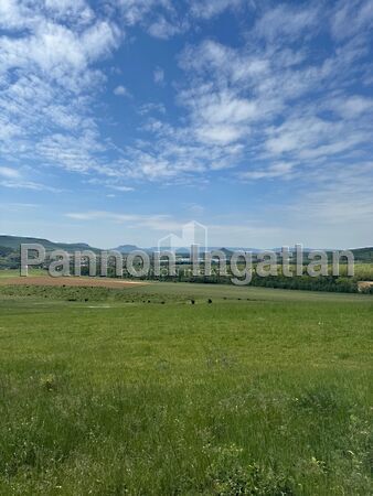 Eladó földterület Monostorapáti