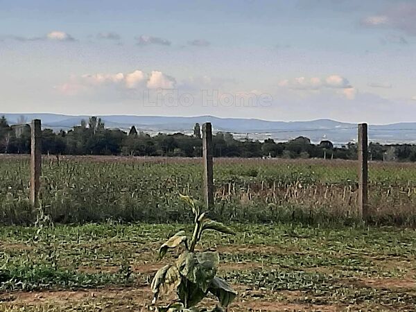 Eladó földterület Balatonszárszó