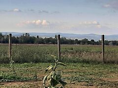 Eladó földterület Balatonszárszó