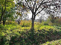 Eladó földterület Siófok