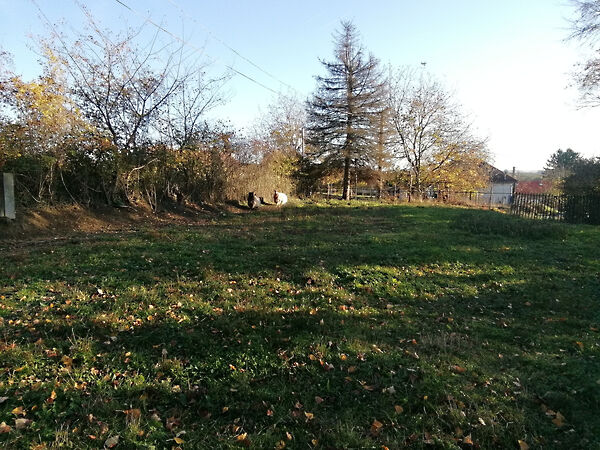 Eladó földterület Nagykutas