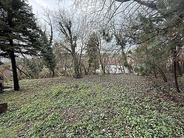 Eladó földterület Szentendre